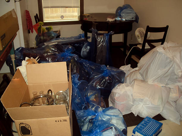 Best Office Junk Removal  in West Columbia, SC